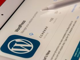 Nieuwe WordPress website maken Let op het thema en een goede hosting provider